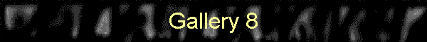 Gallery 8